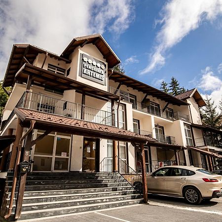 Artemis Villa Poiana Brasov Luaran gambar