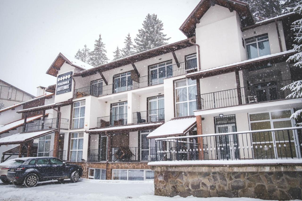 Artemis Villa Poiana Brasov Luaran gambar