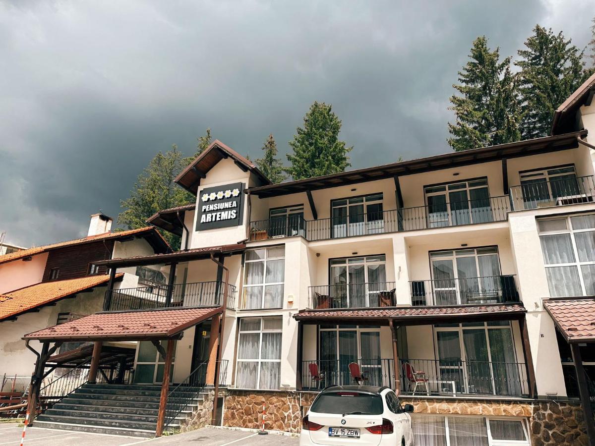 Artemis Villa Poiana Brasov Luaran gambar