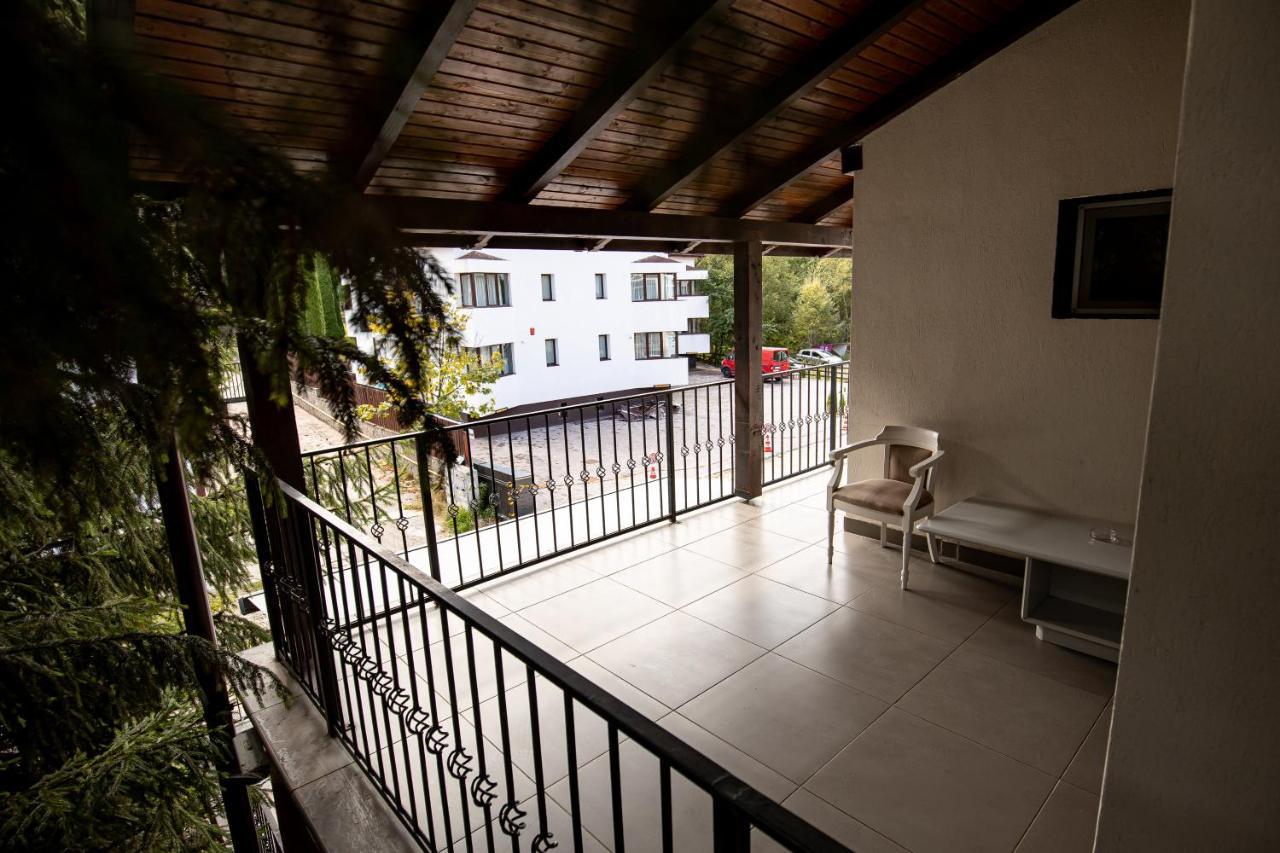 Artemis Villa Poiana Brasov Luaran gambar