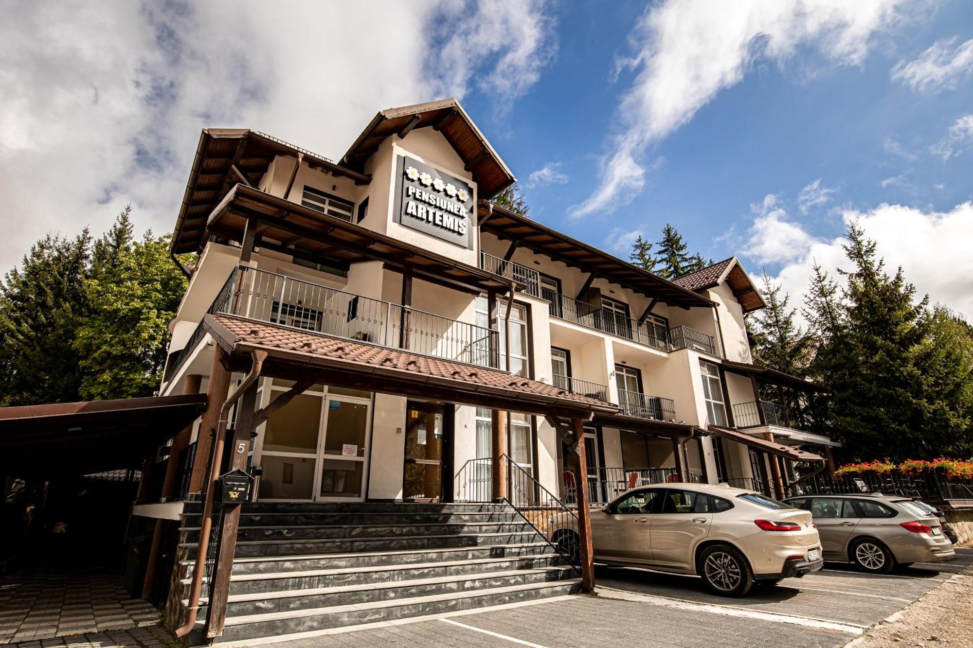 Artemis Villa Poiana Brasov Luaran gambar