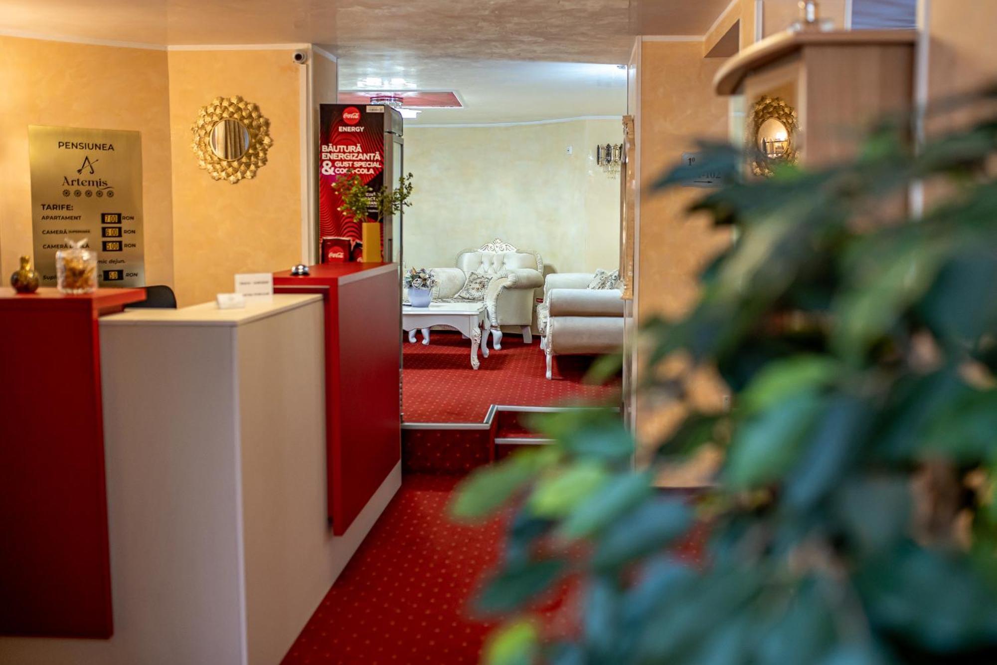 Artemis Villa Poiana Brasov Luaran gambar