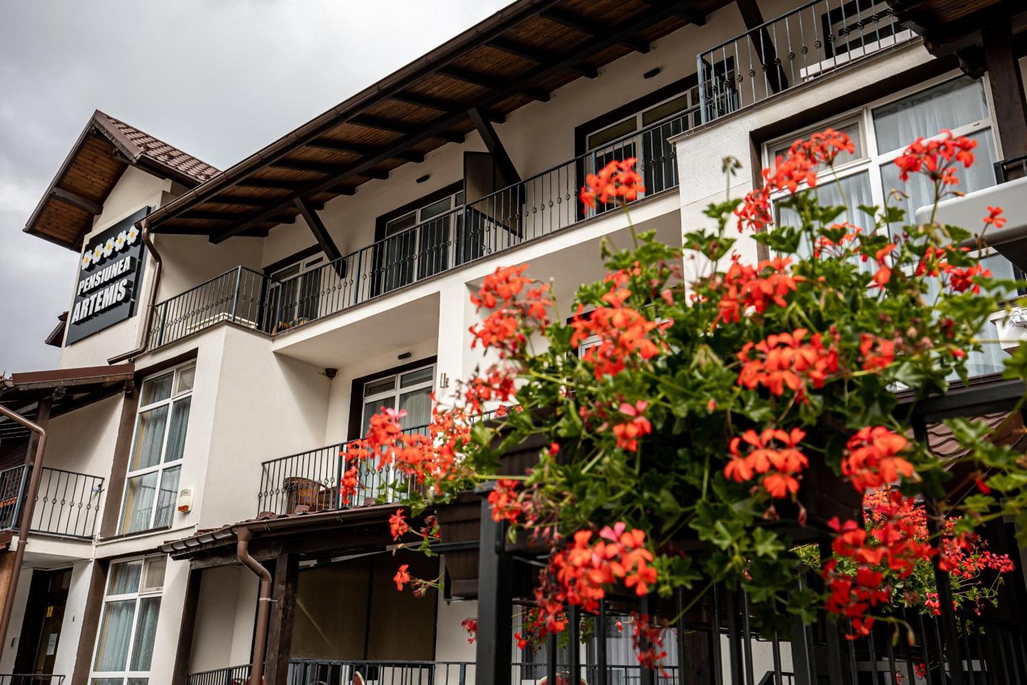Artemis Villa Poiana Brasov Luaran gambar