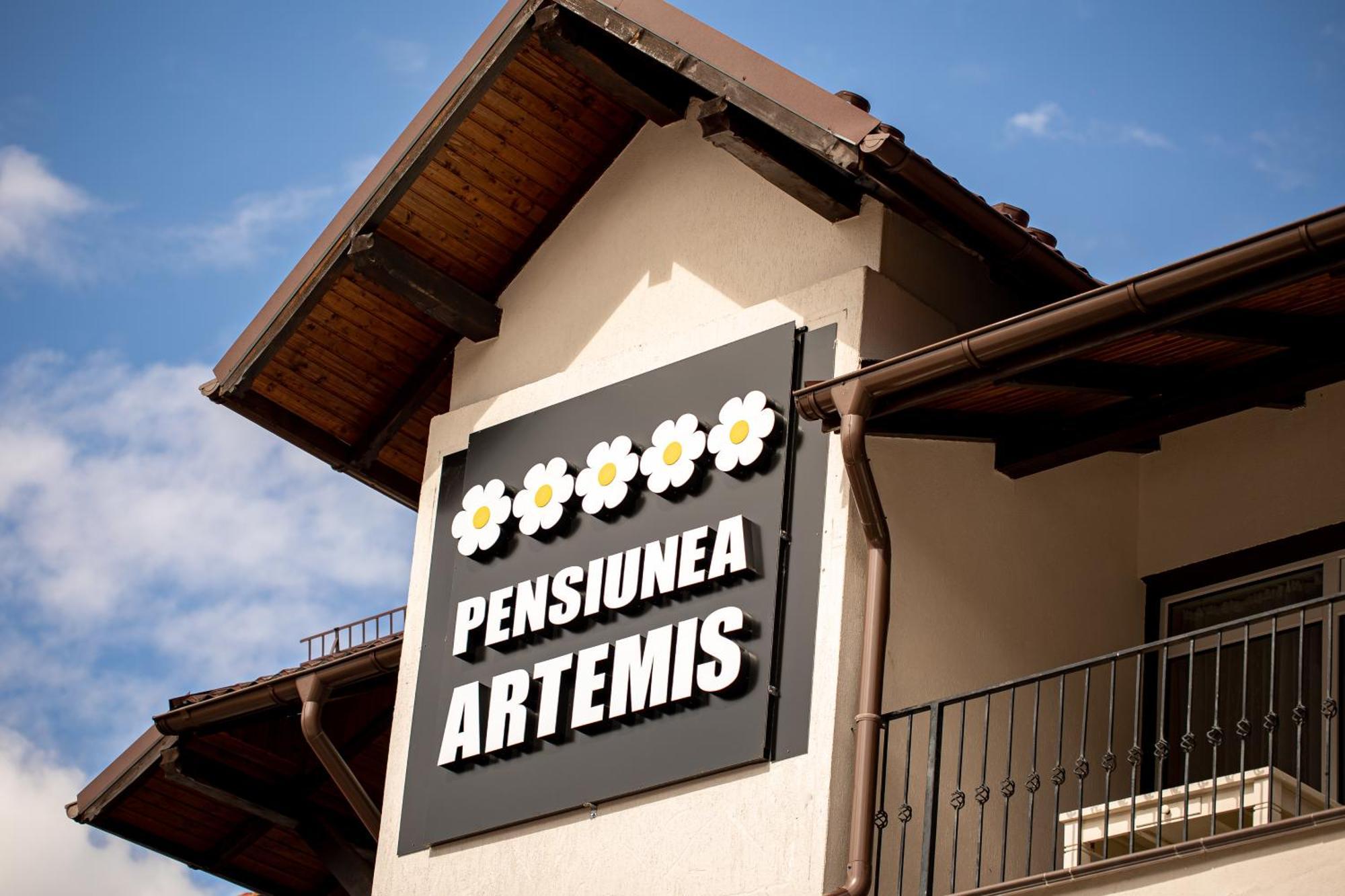 Artemis Villa Poiana Brasov Luaran gambar