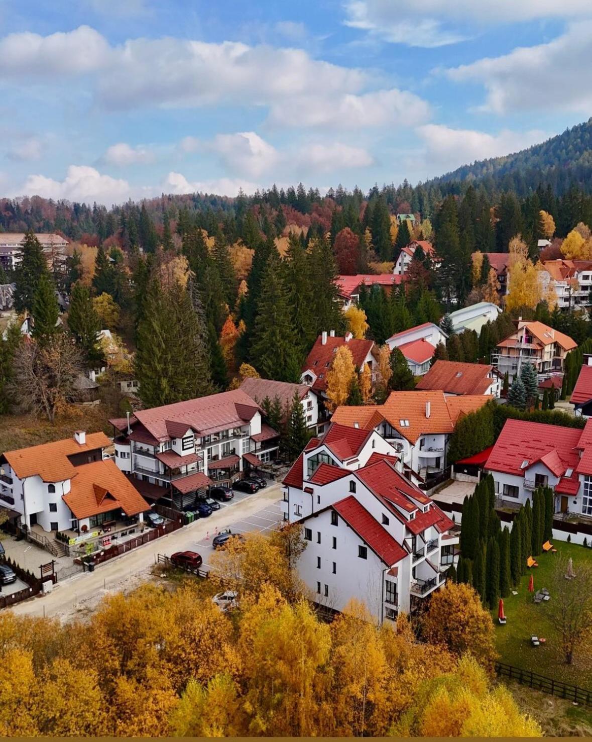 Artemis Villa Poiana Brasov Luaran gambar